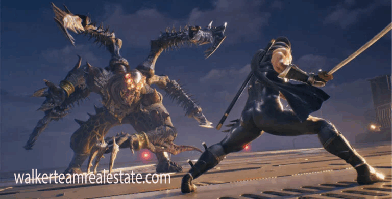 Ninja Gaiden 2 Black