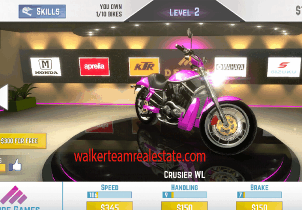 Traffic Rider