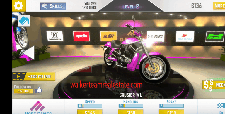 Traffic Rider